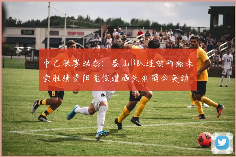 中乙联赛动态：泰山B队连续两轮未尝胜绩贵阳竞技遭遇失利蒲公英顽强战平